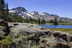 Pet friendly dog park in Taos, New Mexico: Carson National Forest