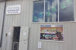 Pet day care in Taos, New Mexico: Taos Dog Camp