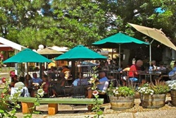 Pet friendly restaurant in Taos, New Mexico: Bent Street Cafe and Deli