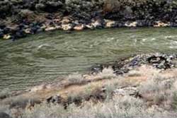 Pet friendly dog park in Taos, New Mexico: Black Rock hot Springs